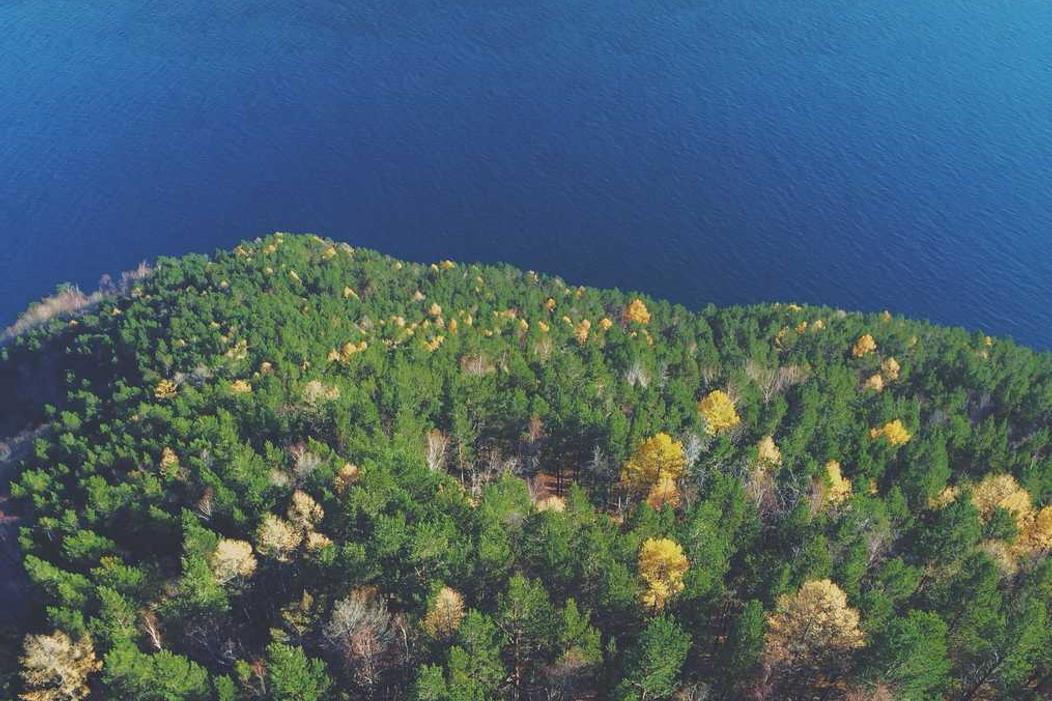 Autem incidunt voluptas est ut distinctio